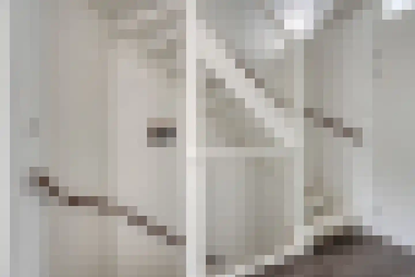 Edith Piafstraat 24 Lent thumbnail 10