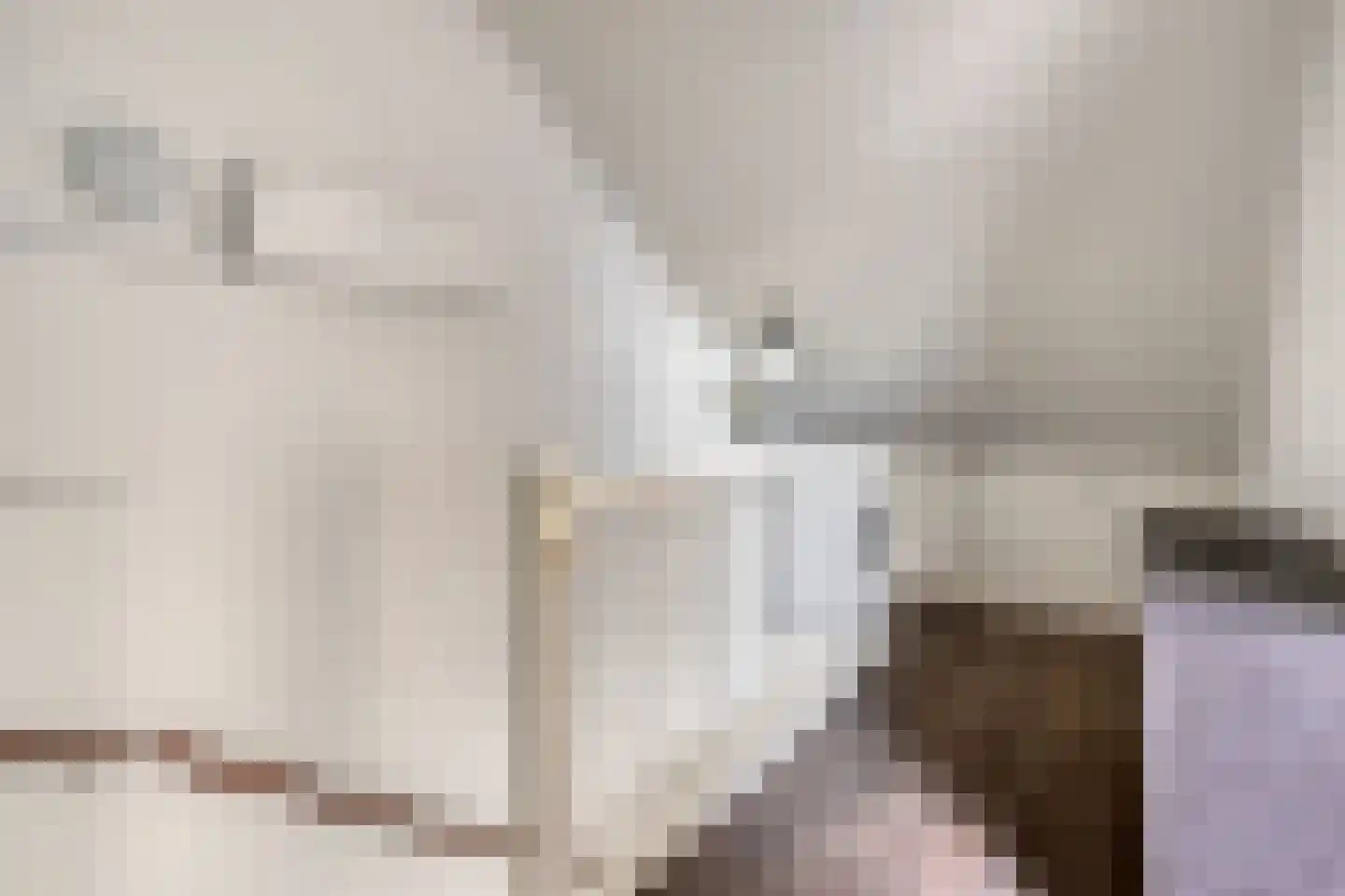 Edith Piafstraat 24 Lent thumbnail 18