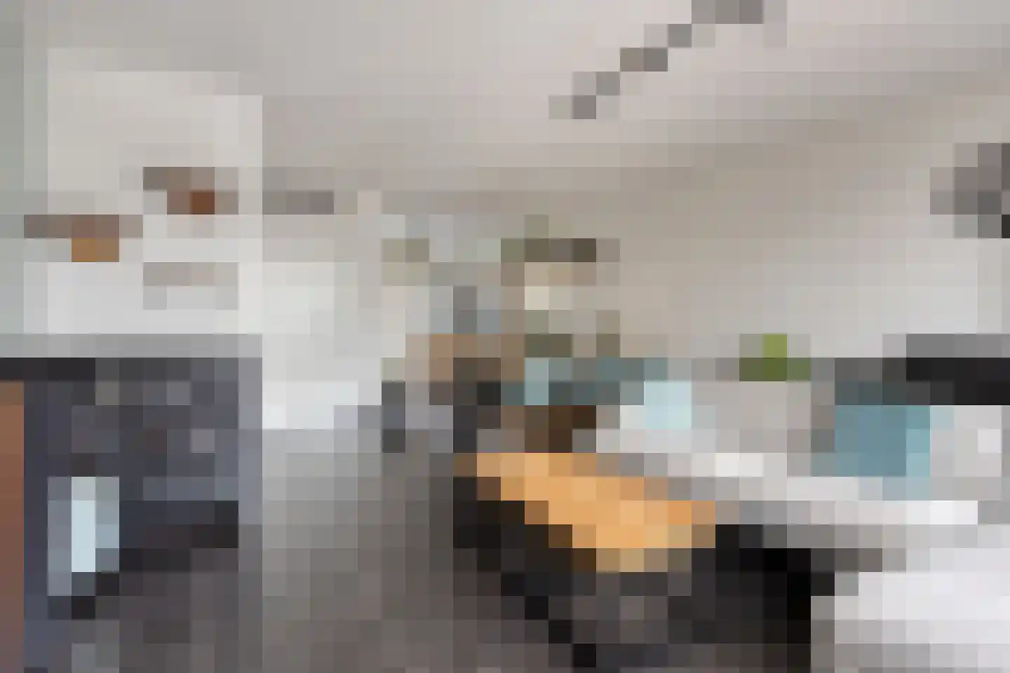 Edith Piafstraat 24 Lent thumbnail 5