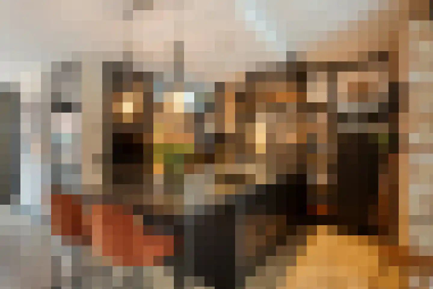 Edith Steinstraat 9 Echt thumbnail 16