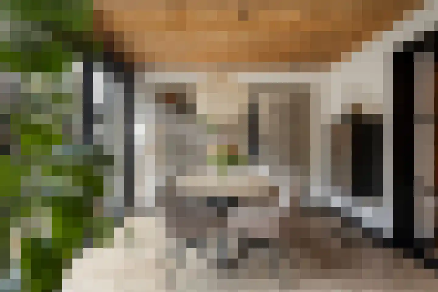 Edith Steinstraat 9 Echt thumbnail 18