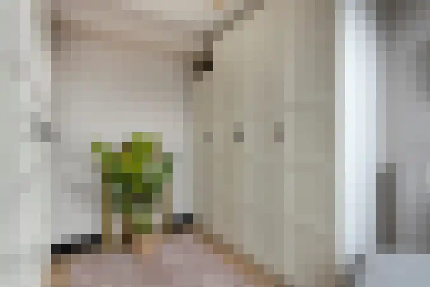 Edith Steinstraat 9 Echt thumbnail 40