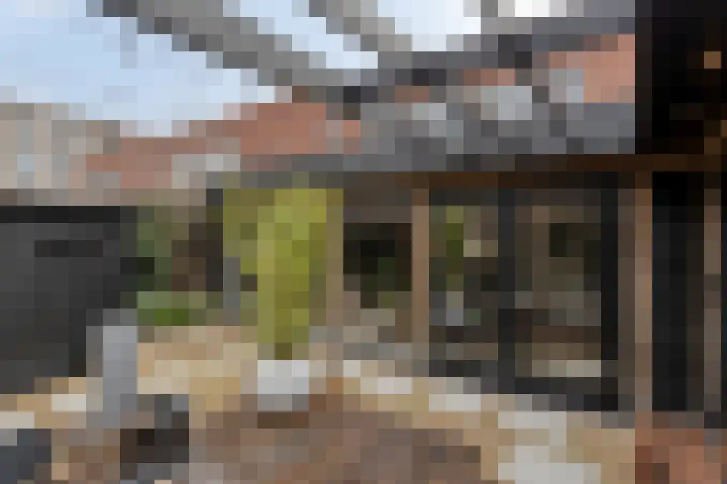 Edith Steinstraat 9 Echt thumbnail 46