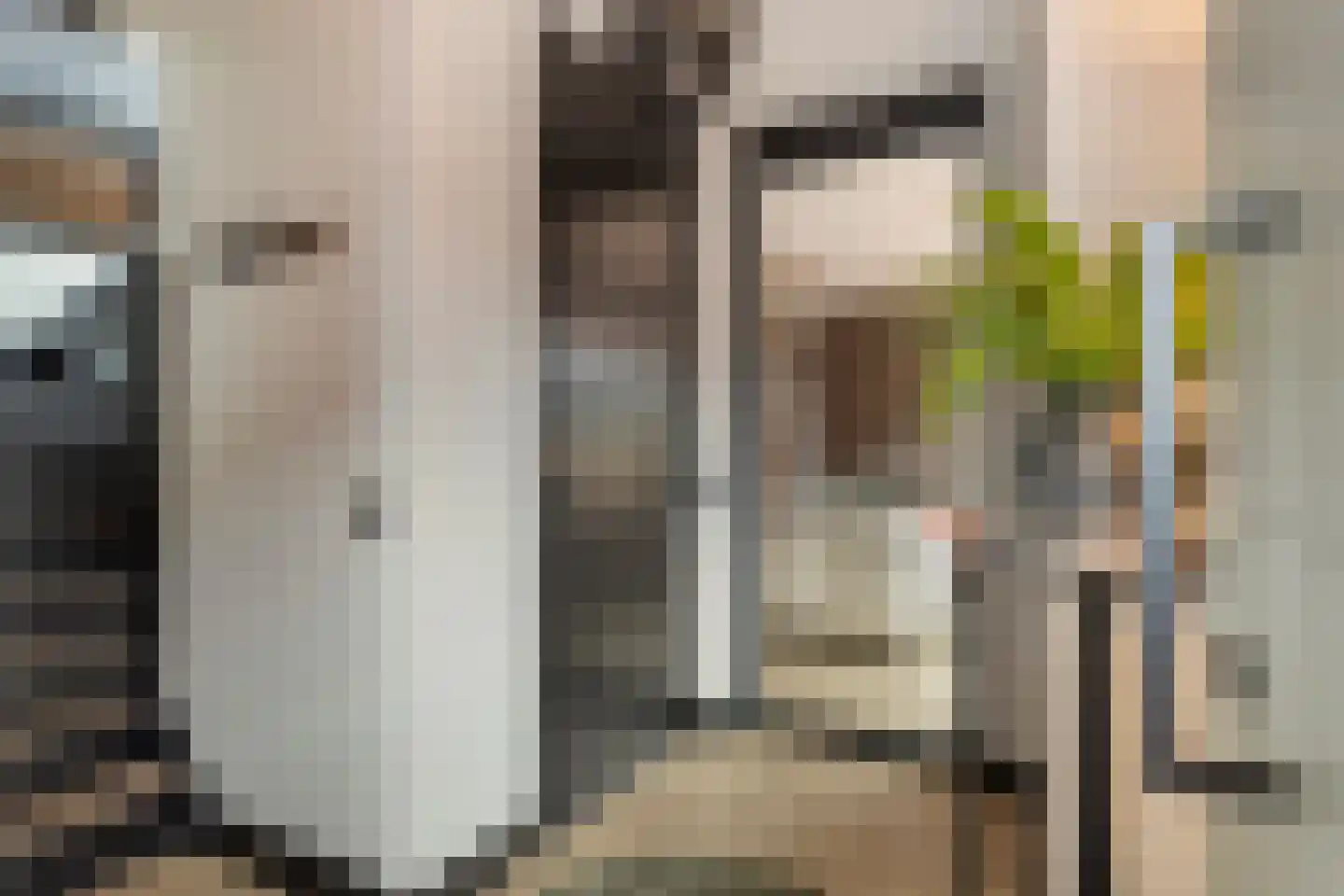 Edith Steinstraat 9 Echt thumbnail 8