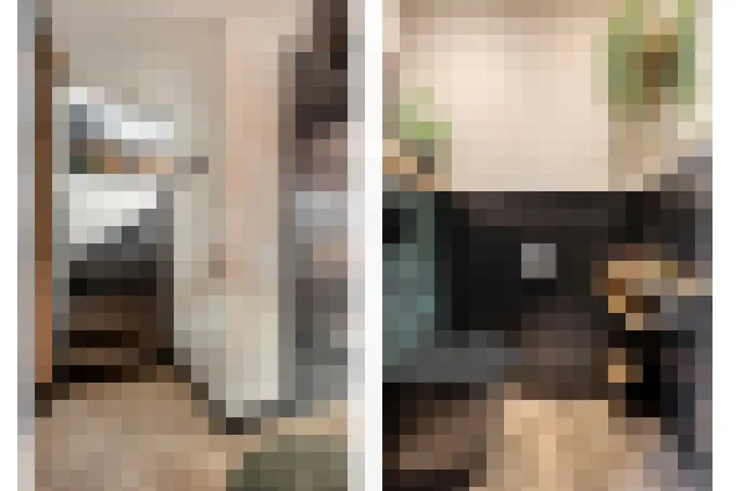 Edith Steinstraat 9 Echt thumbnail 9