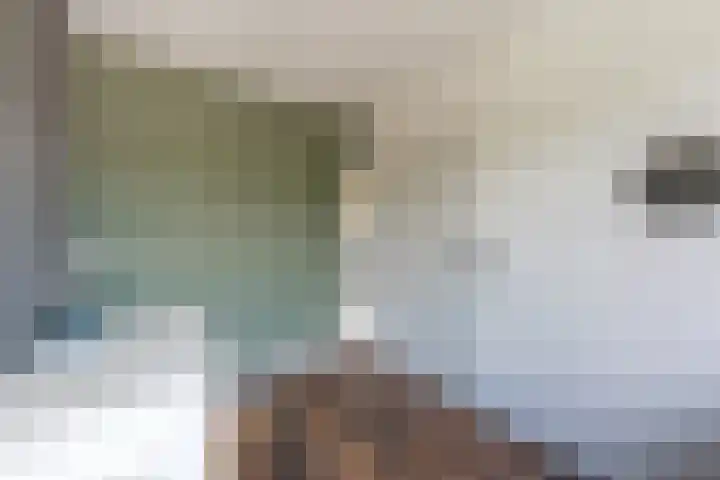 Edixhovenstraat 20 Eygelshoven thumbnail 20