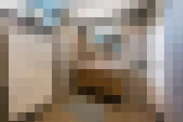 Edixhovenstraat 20 Eygelshoven thumbnail 22