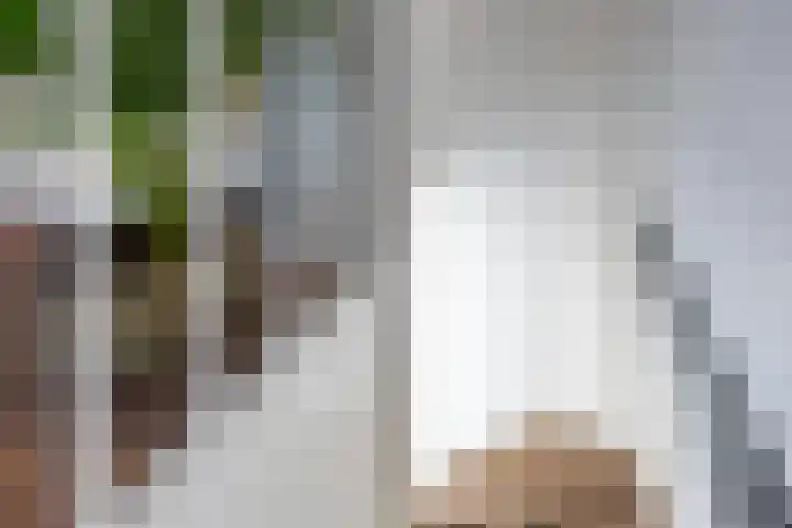 Edixhovenstraat 20 Eygelshoven thumbnail 23