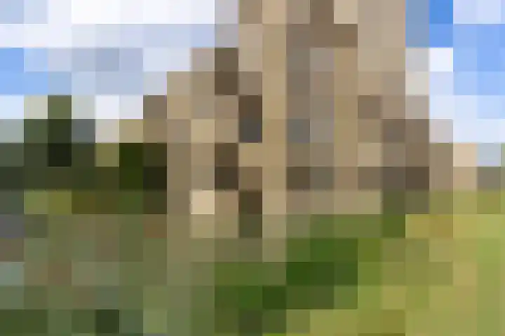 Edmond Audranstraat 123 Utrecht thumbnail 36