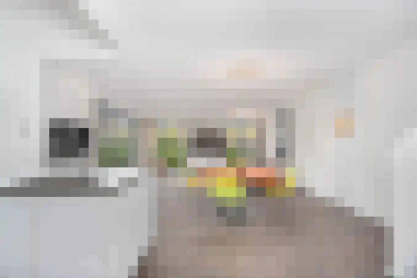 Edmond Audranstraat 249 Utrecht thumbnail 10