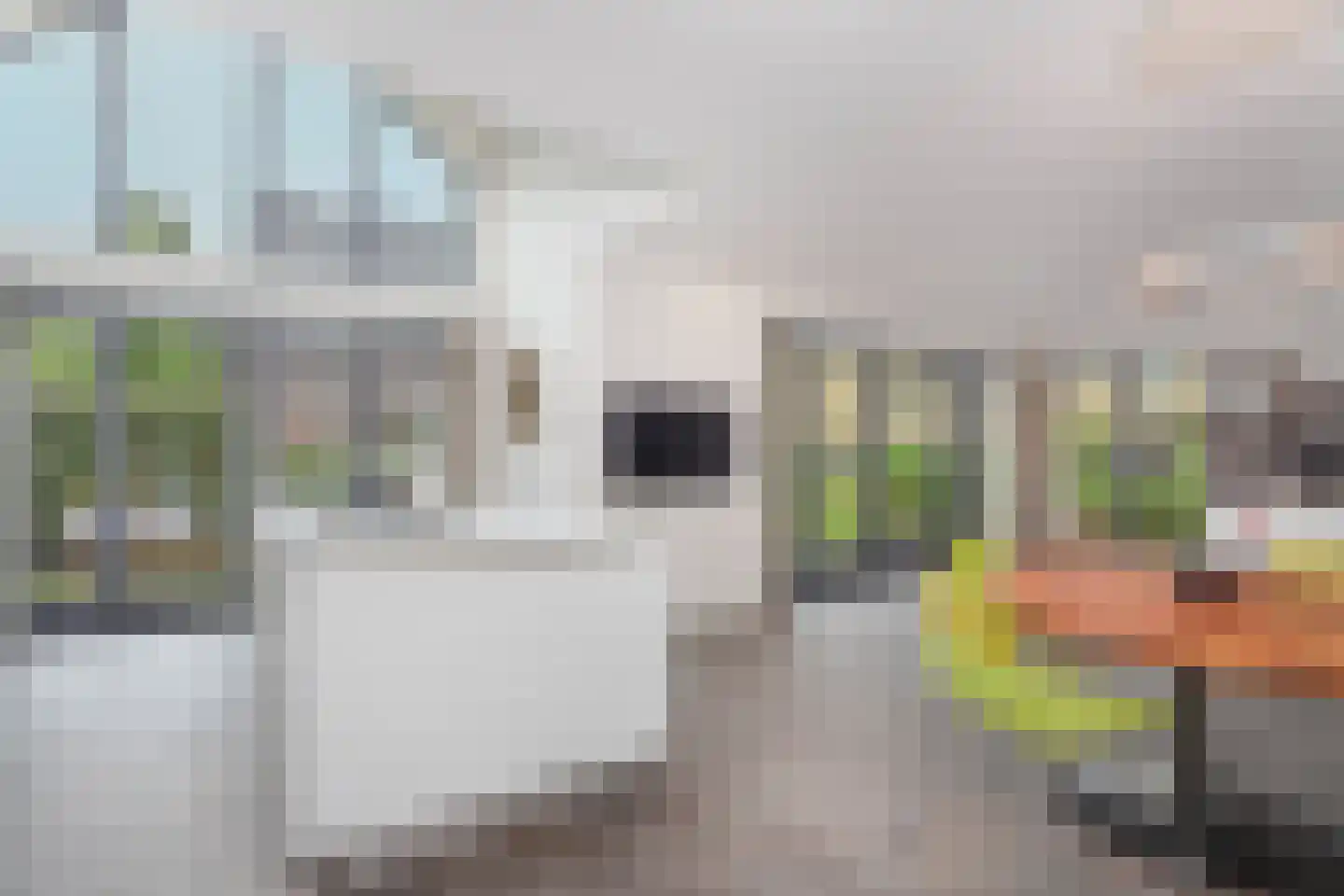 Edmond Audranstraat 249 Utrecht thumbnail 4