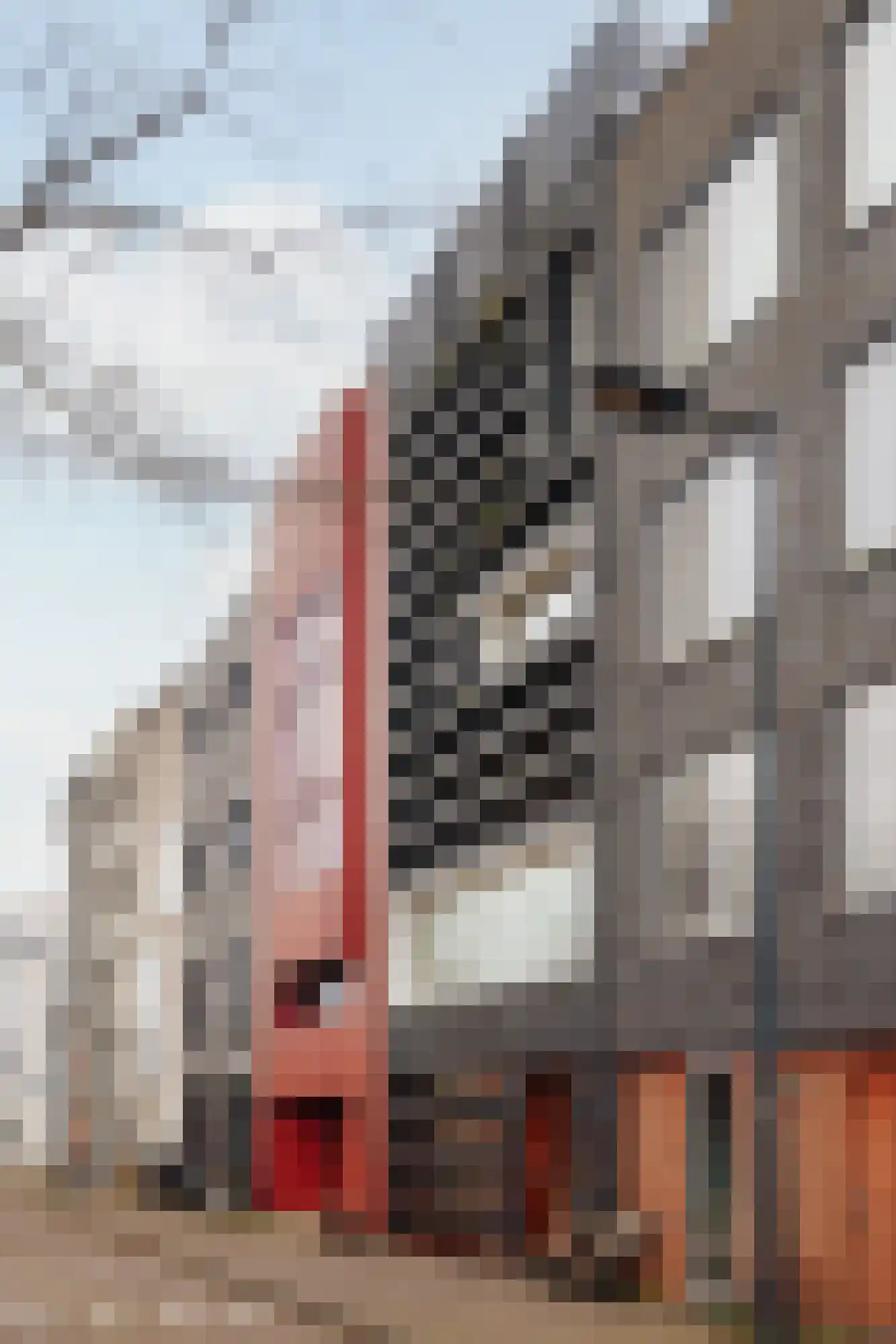 Edmond Halleylaan 46 Amsterdam thumbnail 45