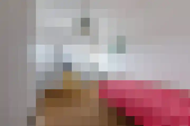 Edmond Halleylaan 52 Amsterdam thumbnail 35