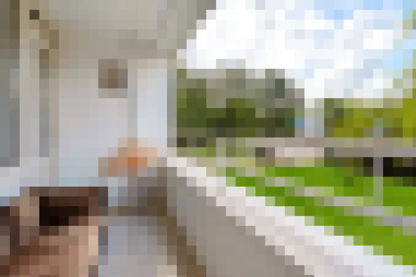 Edmond Hellenraadstraat 107 Rotterdam thumbnail 18