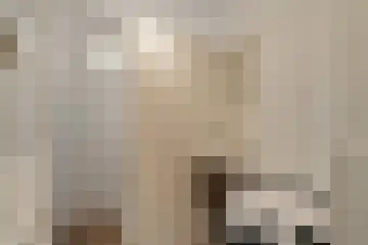 Edmond Hellenraadstraat 120 Rotterdam thumbnail 12