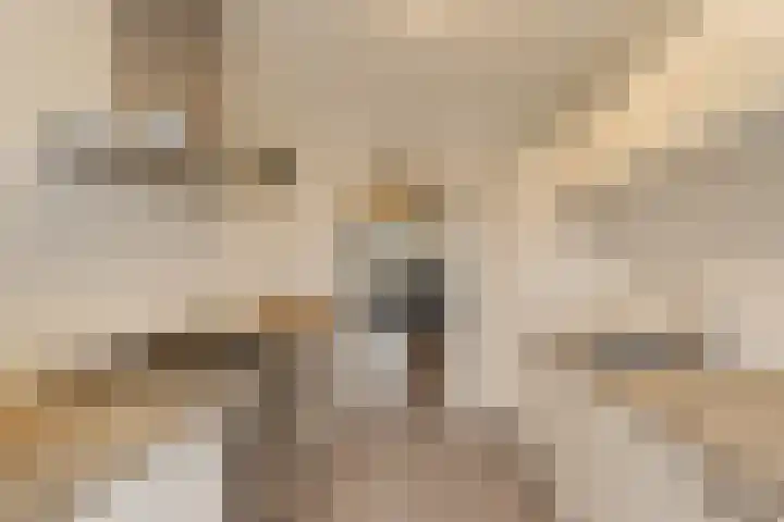 Edmond Hellenraadstraat 120 Rotterdam thumbnail 9