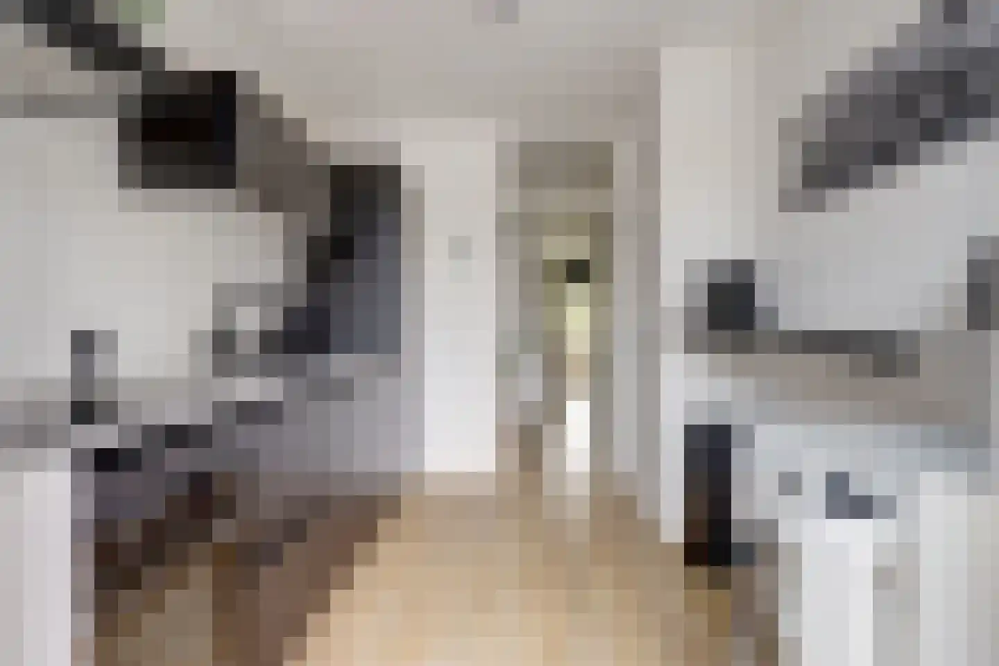 Edmond Hellenraadstraat 125 Rotterdam thumbnail 11