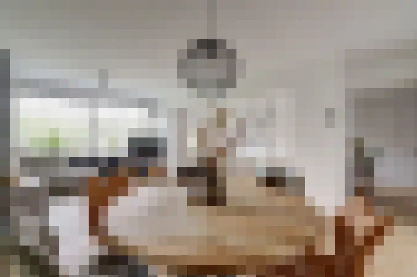 Edmond Hellenraadstraat 125 Rotterdam thumbnail 9