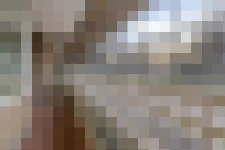 Edmond Hellenraadstraat 40 Rotterdam thumbnail 15