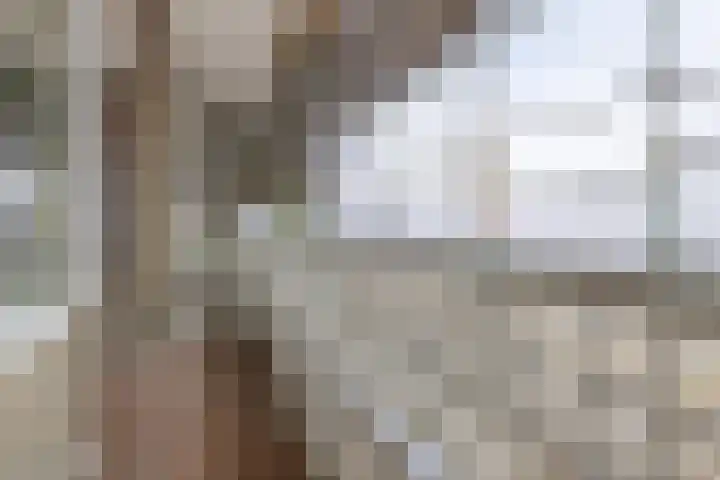 Edmond Hellenraadstraat 42 Rotterdam thumbnail 16