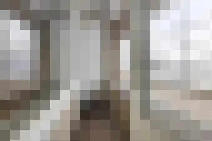 Edmond Hellenraadstraat 42 Rotterdam thumbnail 24