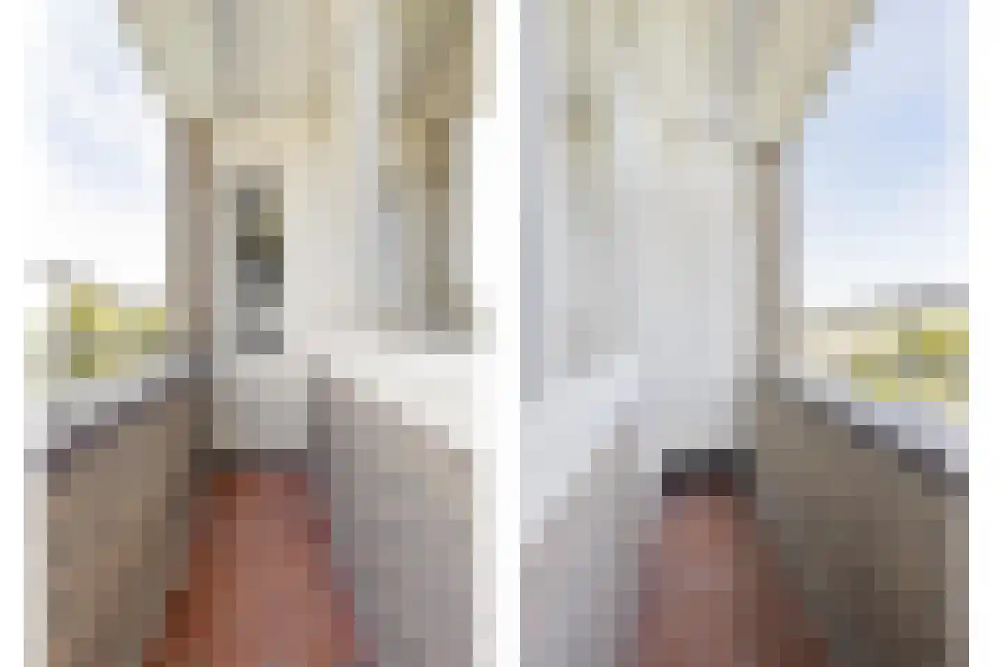 Edmond Hellenraadstraat 44 Rotterdam thumbnail 20