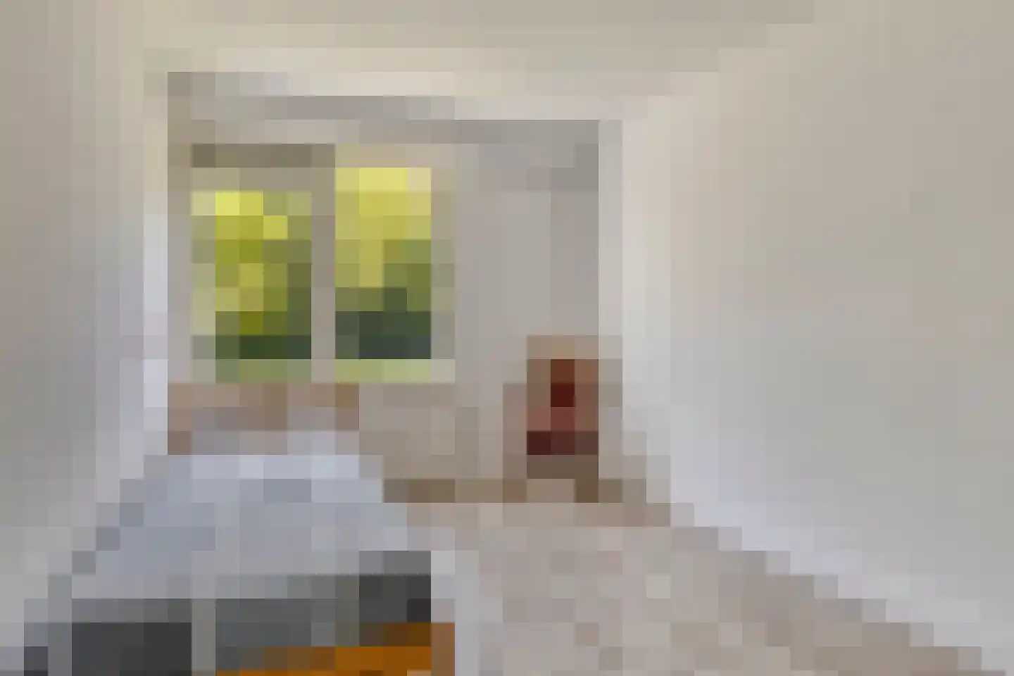 Edmond Hellenraadstraat 51 Rotterdam thumbnail 16