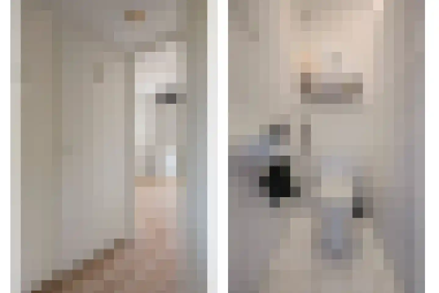 Edmond Hellenraadstraat 61 Rotterdam thumbnail 17