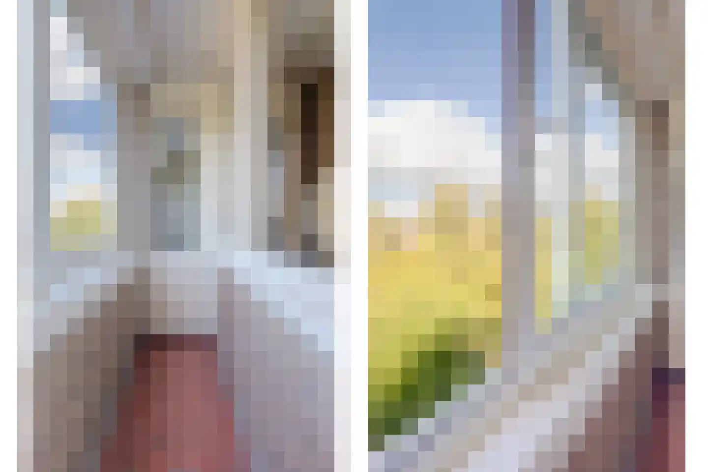 Edmond Hellenraadstraat 61 Rotterdam thumbnail 25
