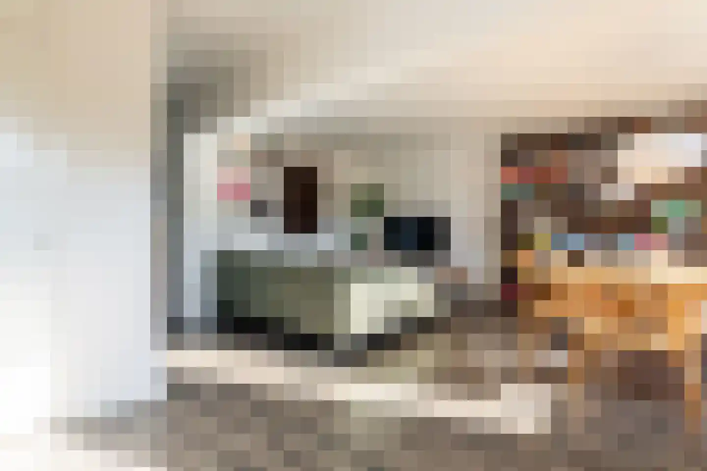 Edmond Hellenraadstraat 87 Rotterdam thumbnail 10