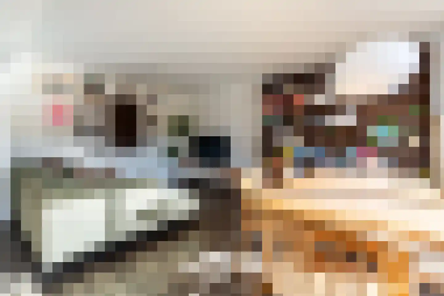 Edmond Hellenraadstraat 87 Rotterdam thumbnail 11