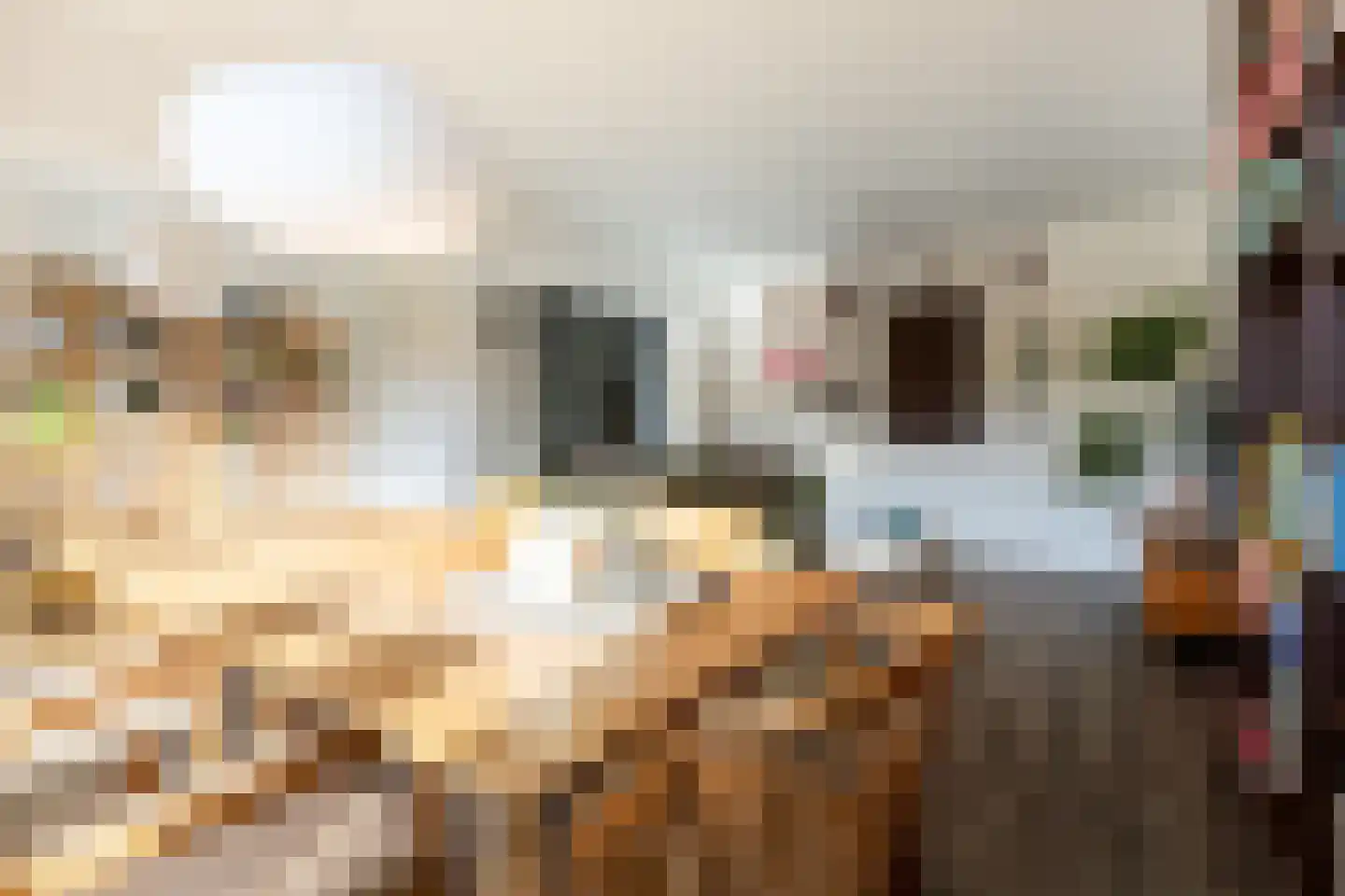 Edmond Hellenraadstraat 87 Rotterdam thumbnail 17