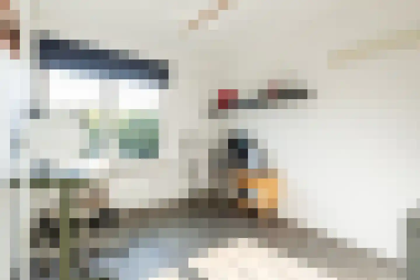 Edmond Hellenraadstraat 87 Rotterdam thumbnail 33