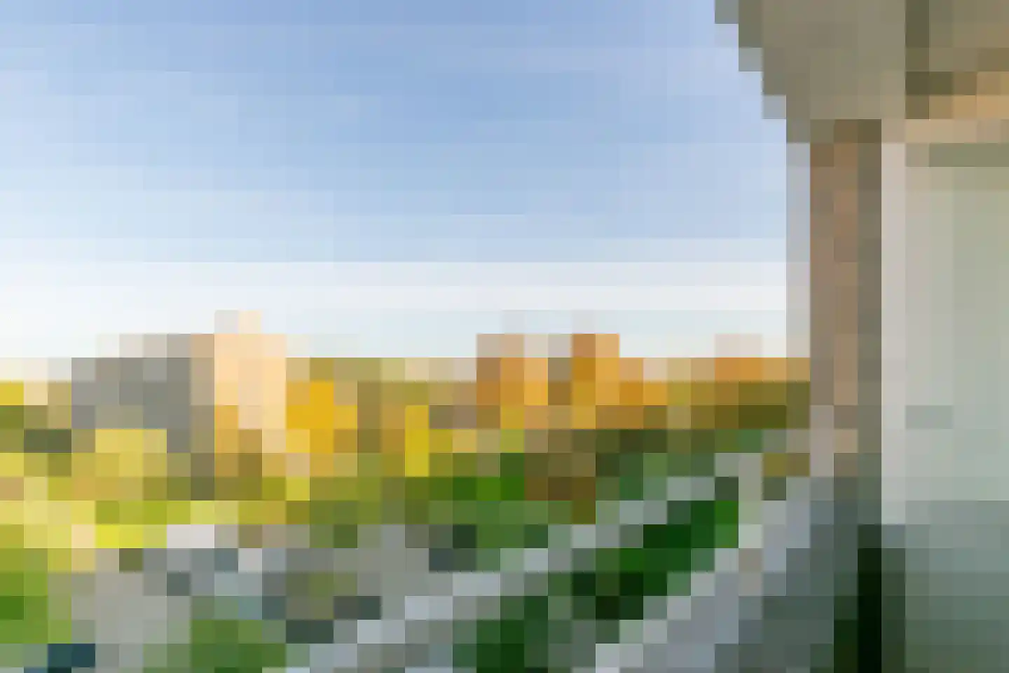 Edmond Hellenraadstraat 87 Rotterdam thumbnail 5