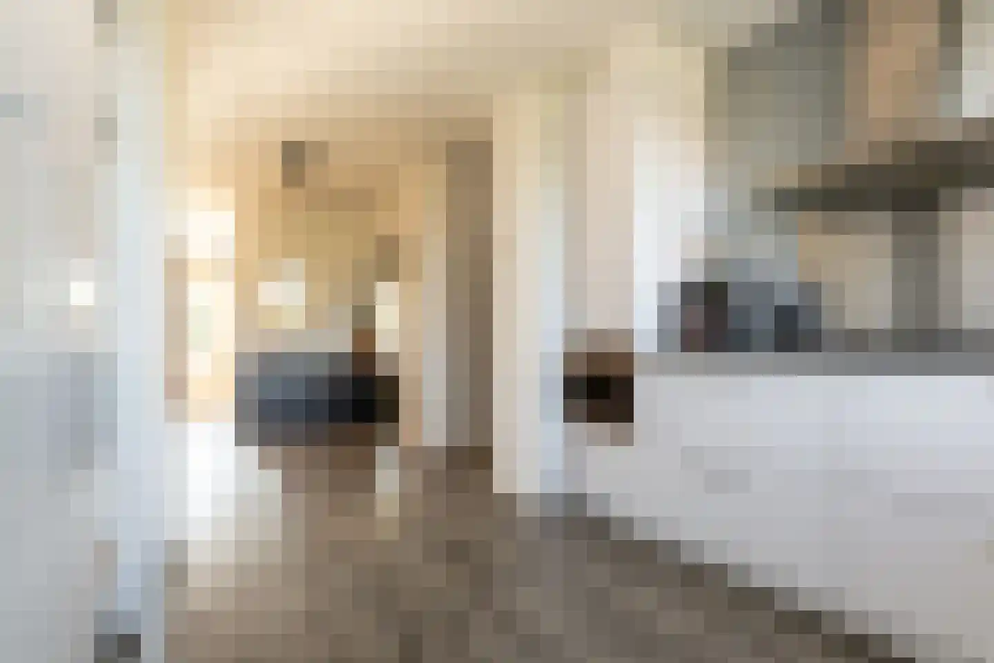 Edmond Hellenraadstraat 87 Rotterdam thumbnail 8