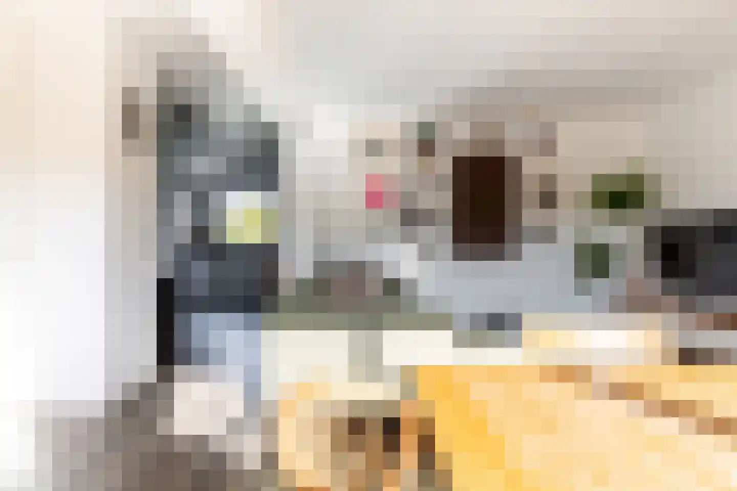 Edmond Hellenraadstraat 87 Rotterdam thumbnail 9
