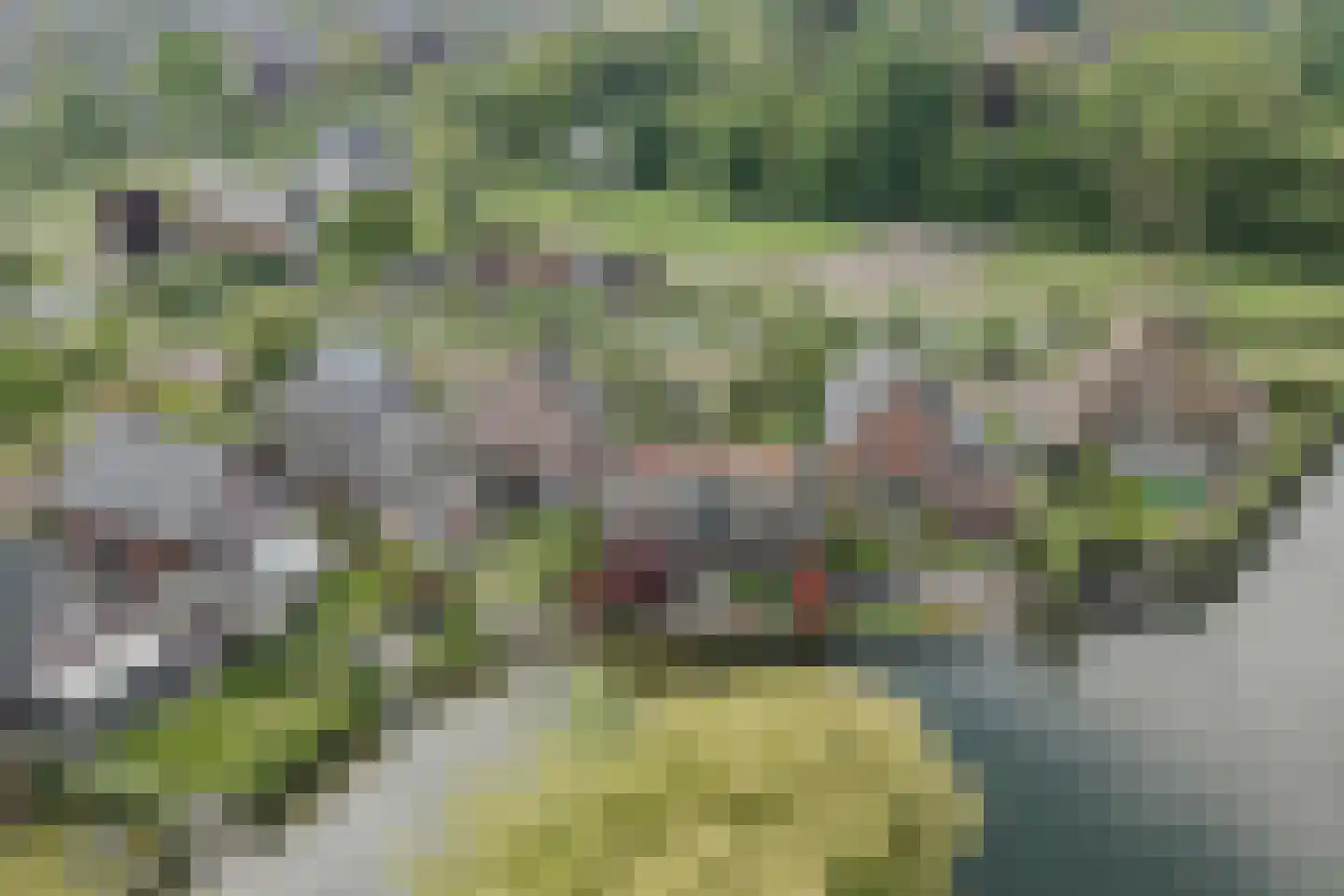 Edmund Nicklaan 12 Vleuten thumbnail 100