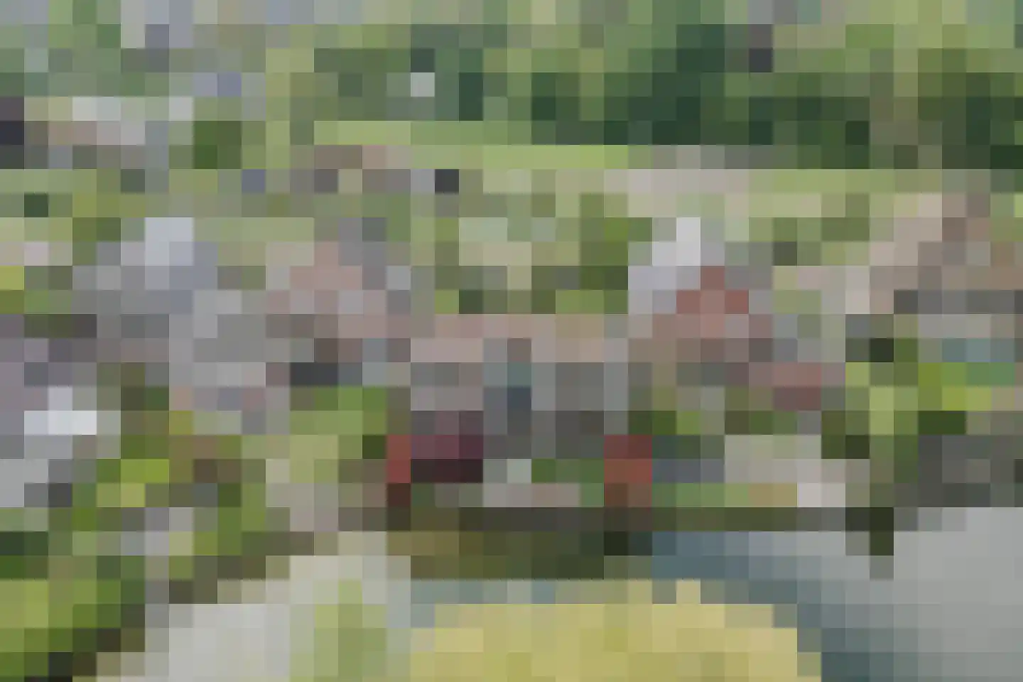 Edmund Nicklaan 12 Vleuten thumbnail 101