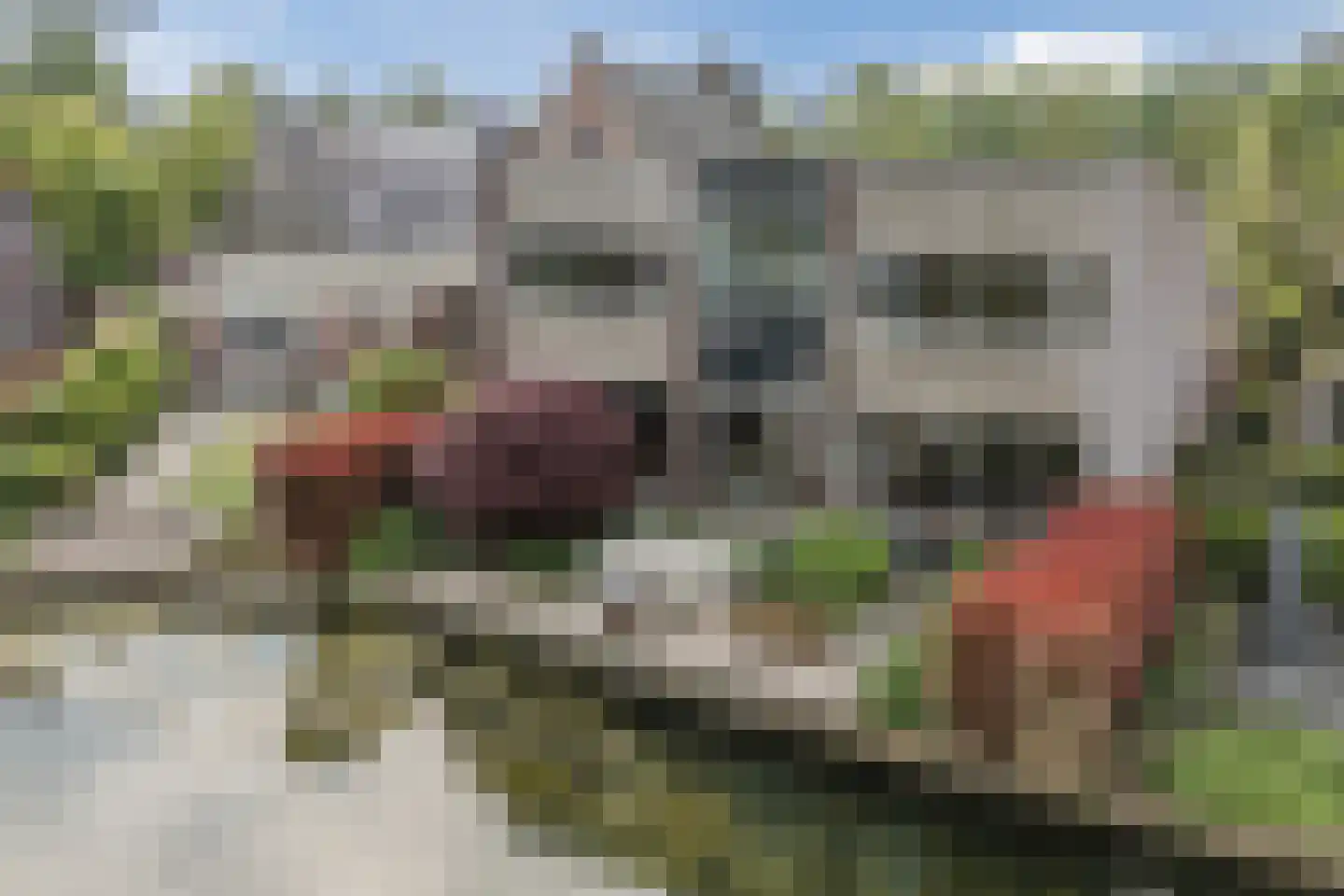 Edmund Nicklaan 12 Vleuten thumbnail 31