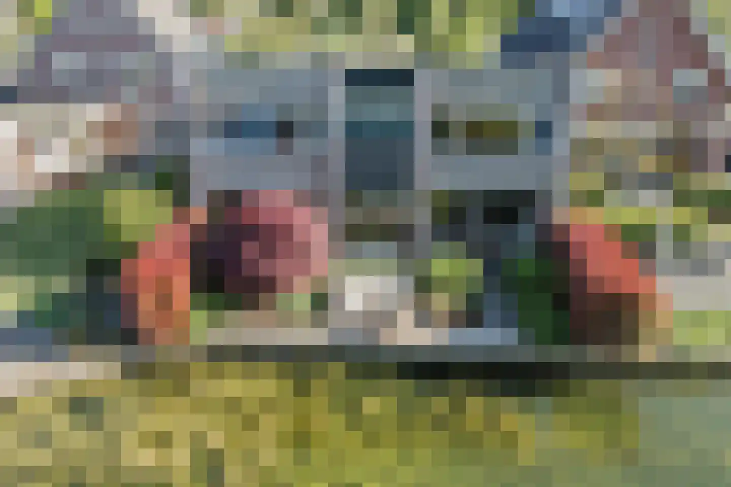 Edmund Nicklaan 12 Vleuten thumbnail 32