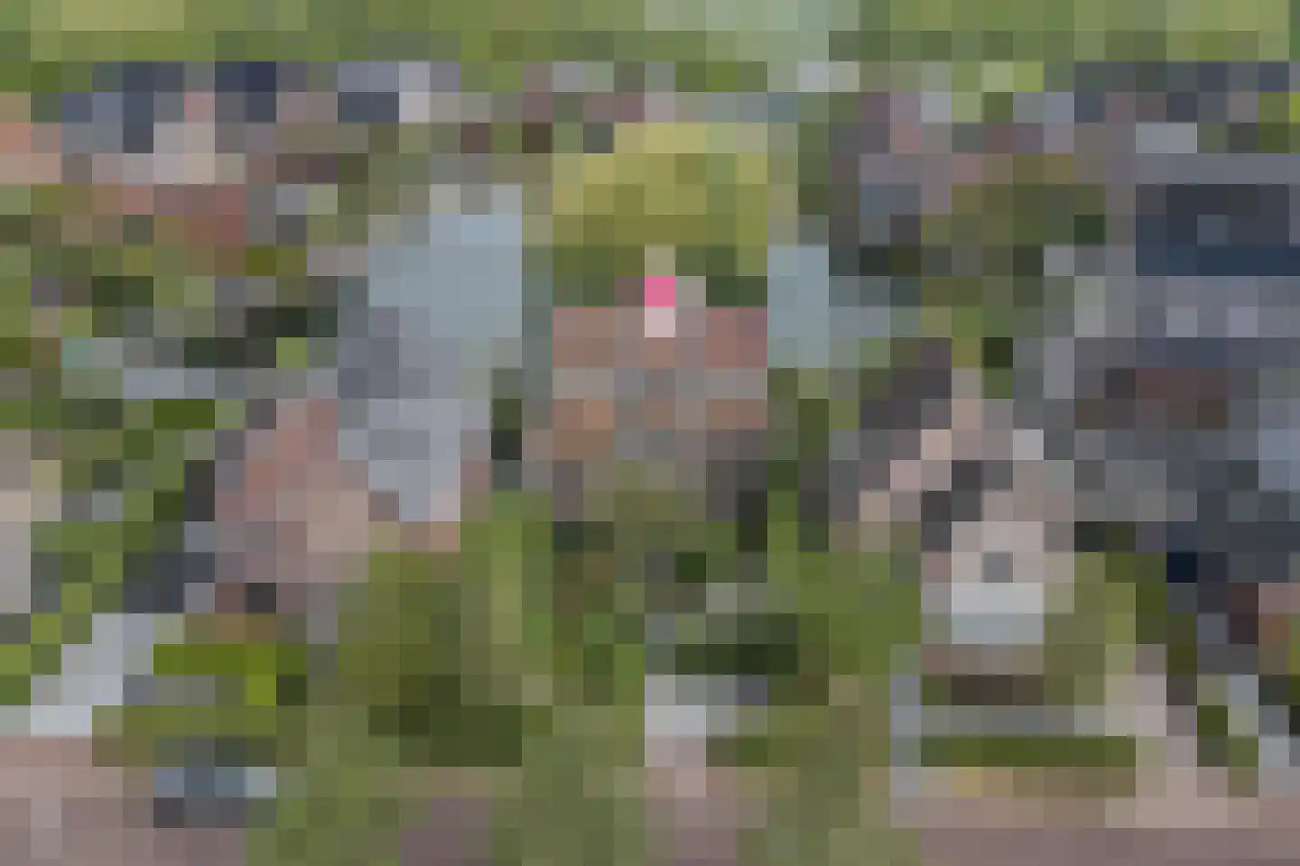 Edmund Nicklaan 12 Vleuten thumbnail 4