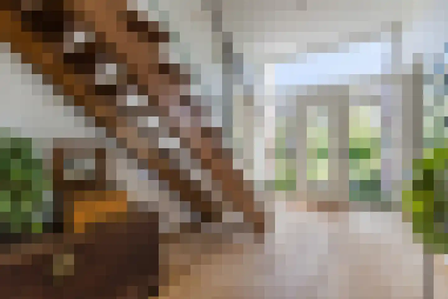 Edmund Nicklaan 12 Vleuten thumbnail 48