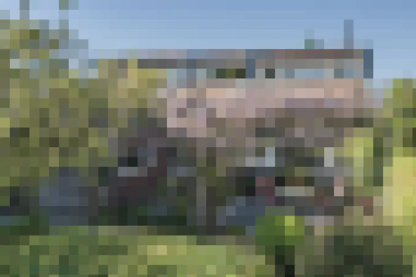 Edmund Nicklaan 12 Vleuten thumbnail 5