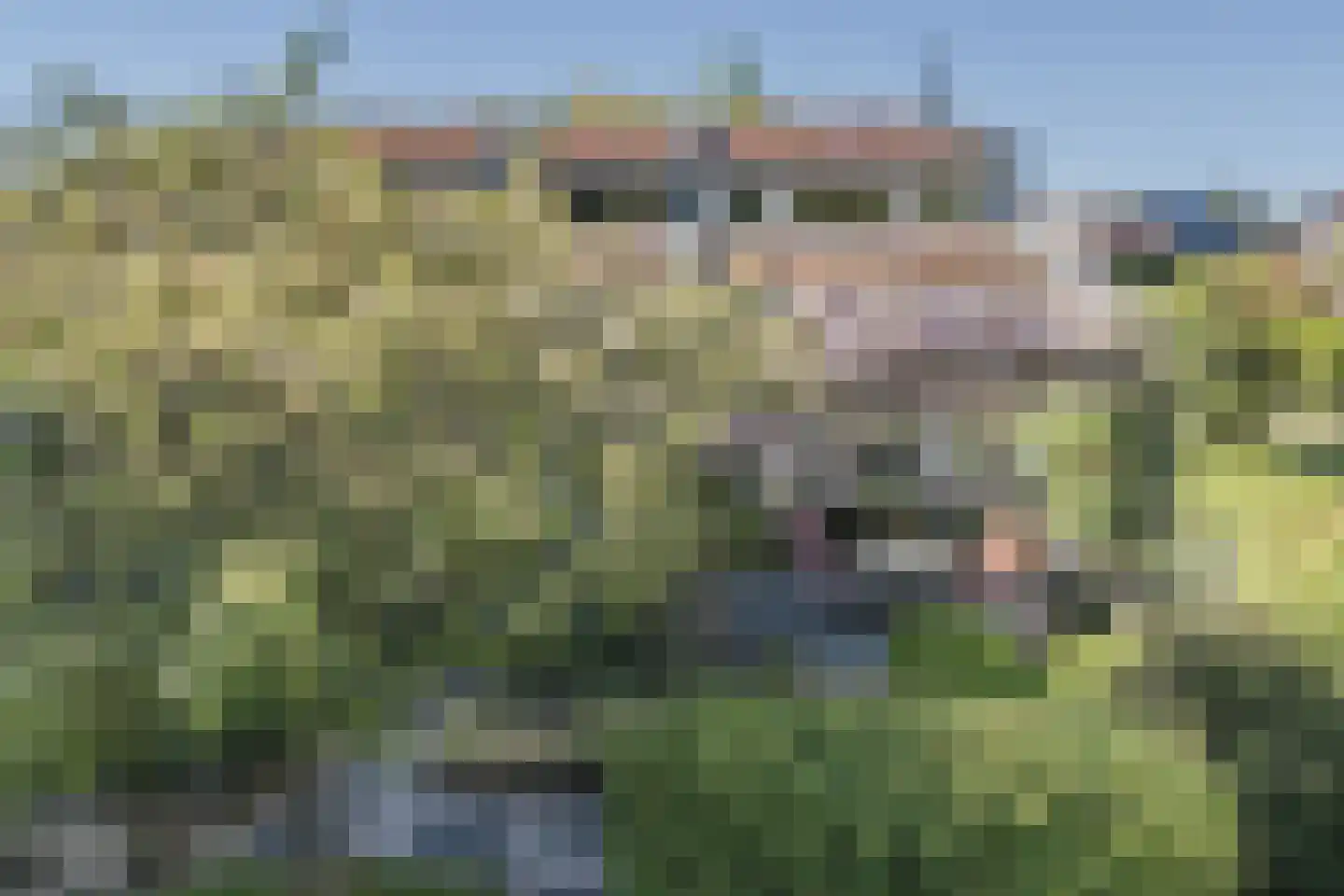 Edmund Nicklaan 12 Vleuten thumbnail 72