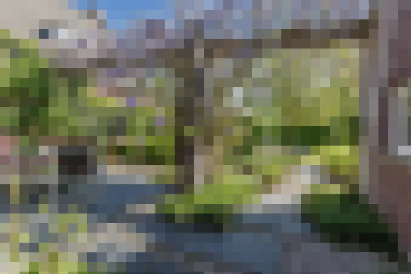 Edmund Nicklaan 12 Vleuten thumbnail 73