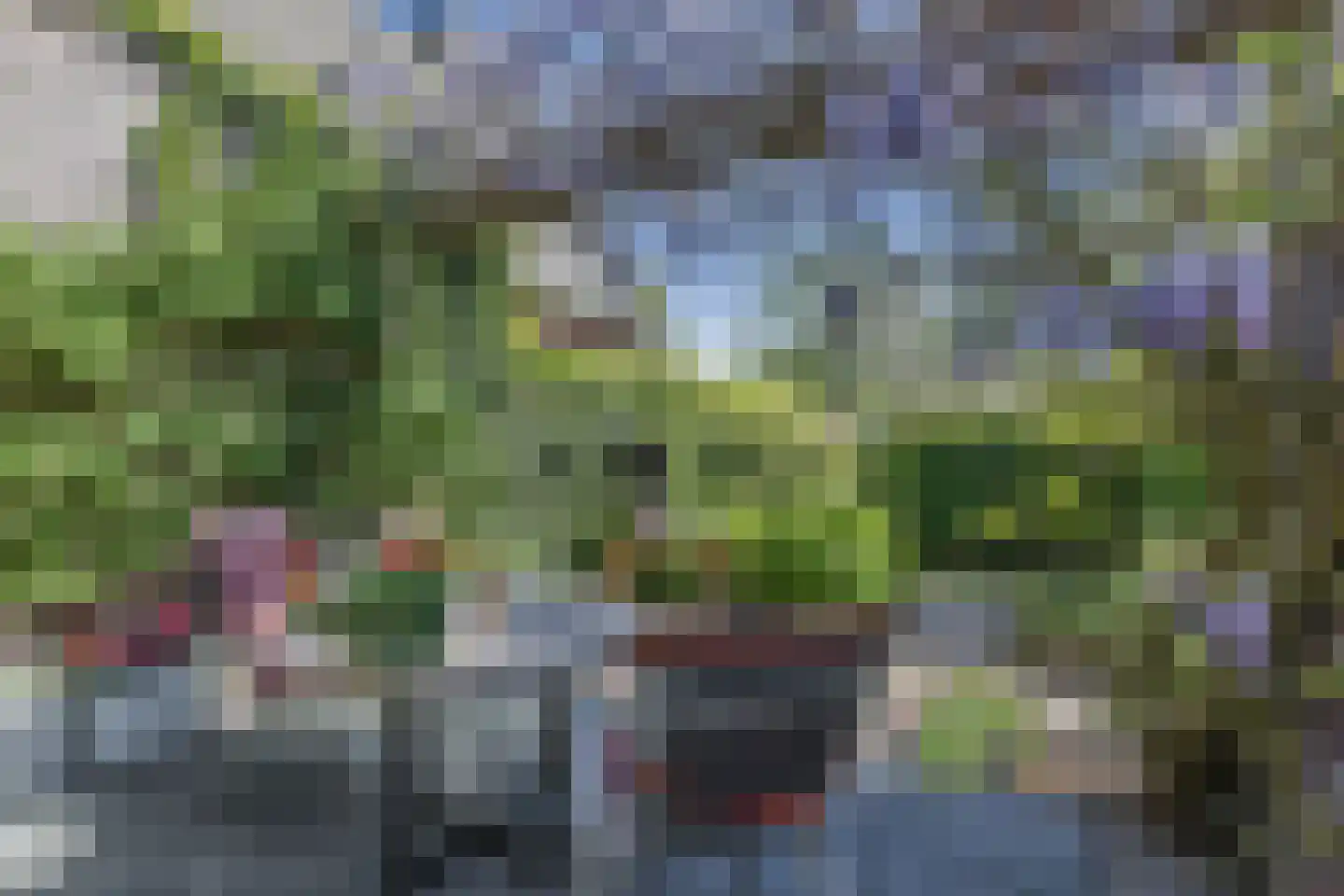 Edmund Nicklaan 12 Vleuten thumbnail 74