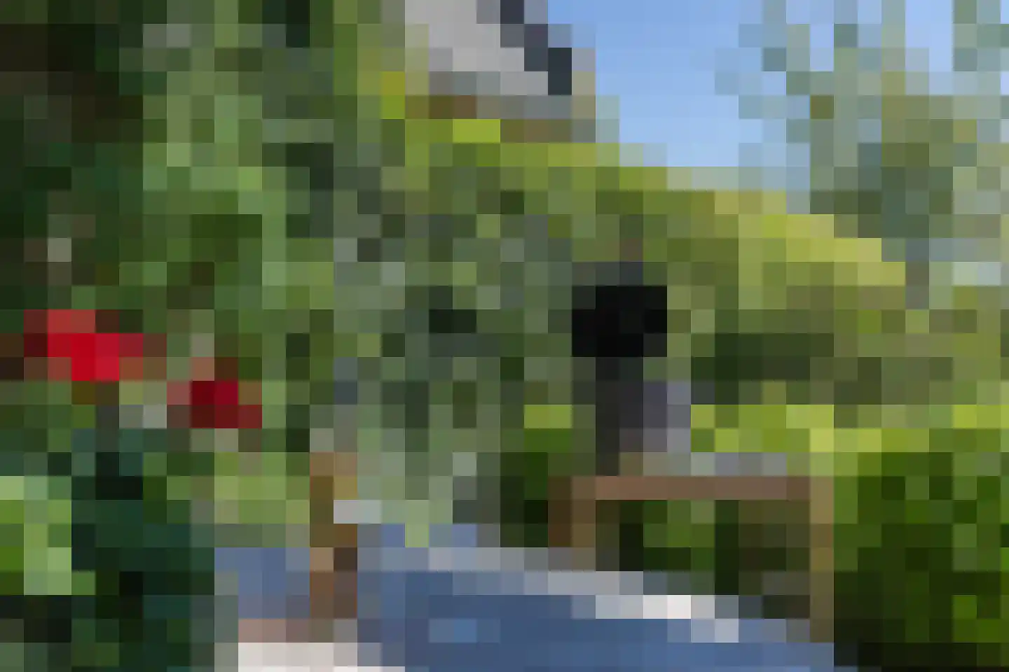 Edmund Nicklaan 12 Vleuten thumbnail 75