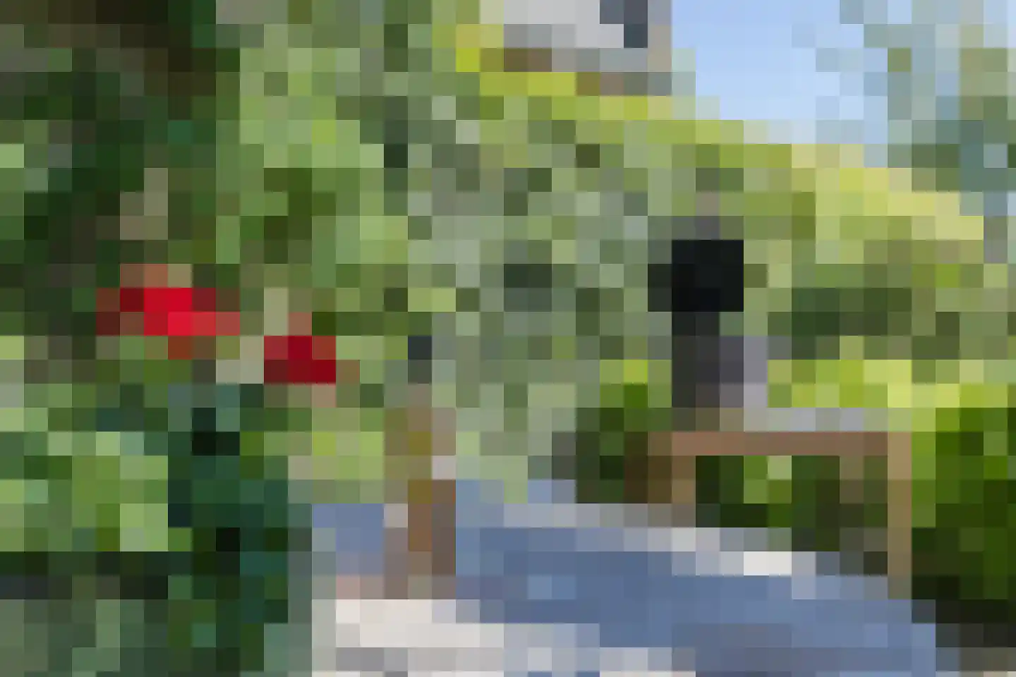 Edmund Nicklaan 12 Vleuten thumbnail 76