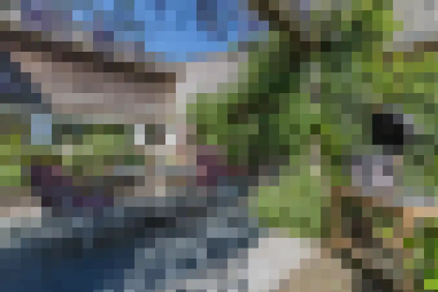 Edmund Nicklaan 12 Vleuten thumbnail 77
