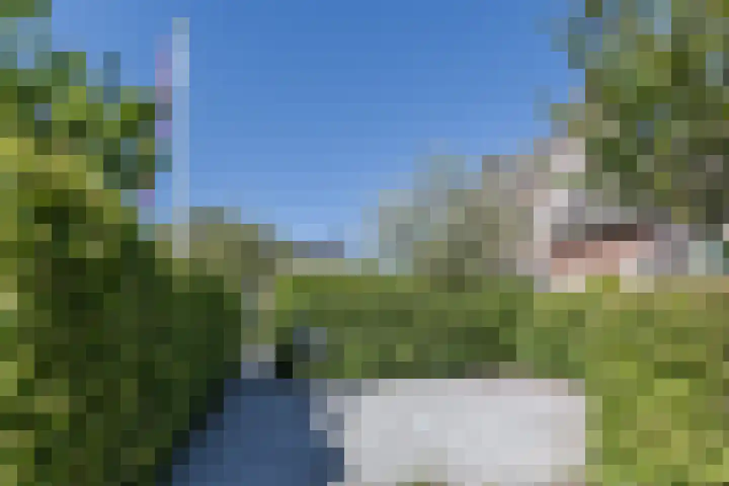 Edmund Nicklaan 12 Vleuten thumbnail 86